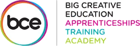 Big Creative Education