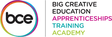 Big Creative Education