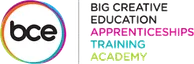 Big Creative Education