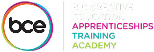 Big Creative Education